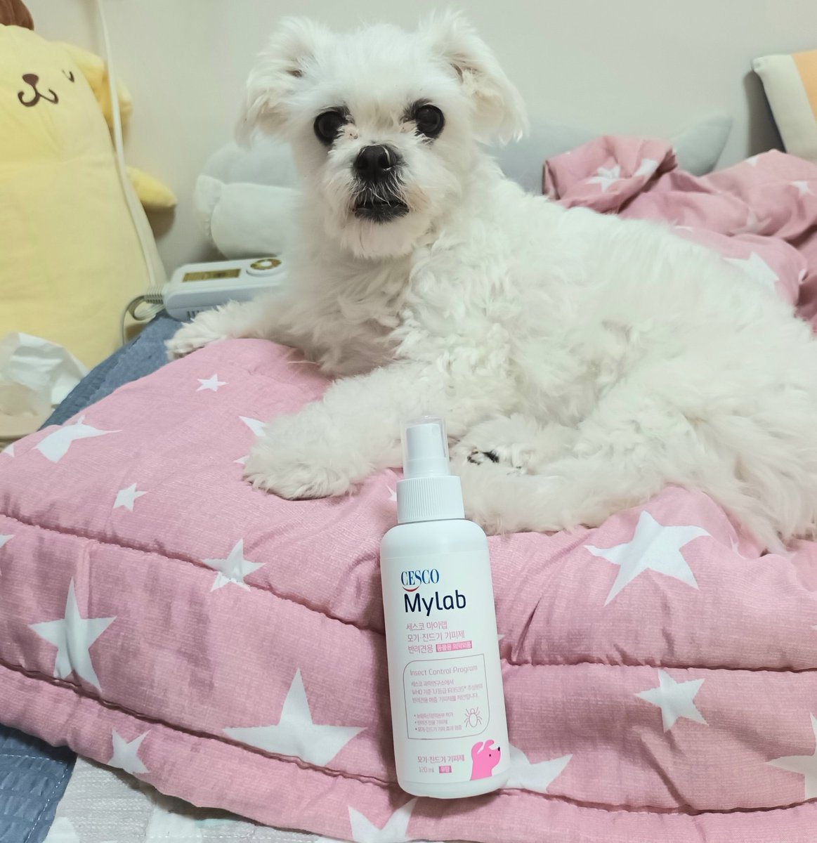 잘 도착했습니다! 장모종이라 풀숲 가면 진드기들 걱정됐었는데 이제 세스코덕에 진드기 걱정 끝! 잘 쓰겠습니다 감사합니다!