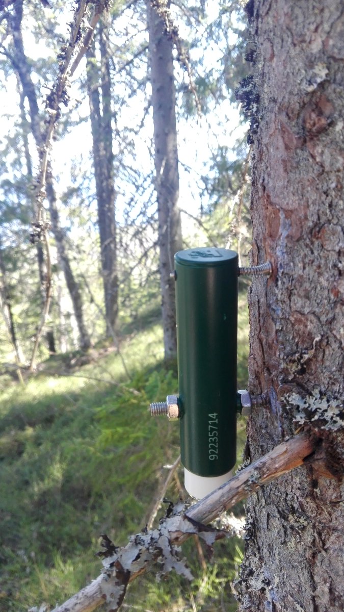 UEF Forest Entomology Network tweet media