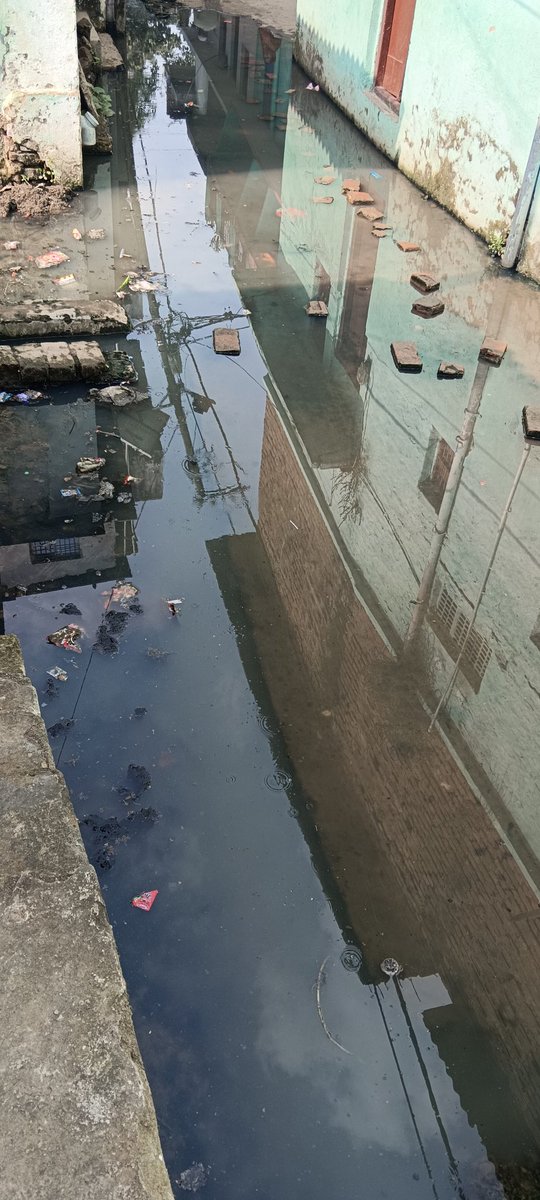shakeebalam's tweet photo. 1 mahine se Ganda paani jma h, koi nahi h isko saaf Krna k liye, agal bagal wle pareshan ho gye saaf krwte hue magar abhi tak koi shi solution nhi mila h.

Can something be done about the persistent waterlogging on our roads? 
@highlight 
@follower 
@PBhusaula 
@patna https://t.co/9tSncyVOXt