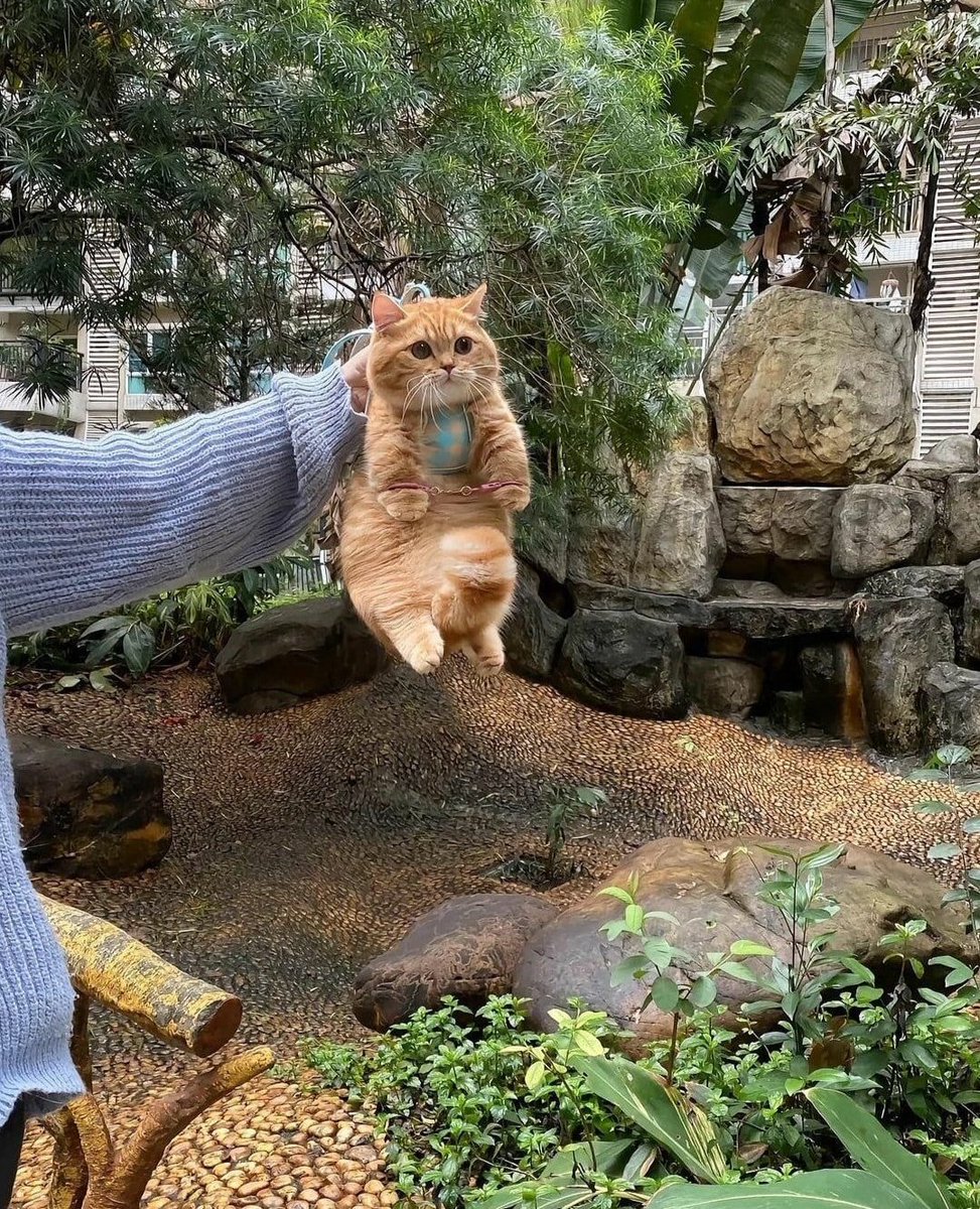 He got caught (again)