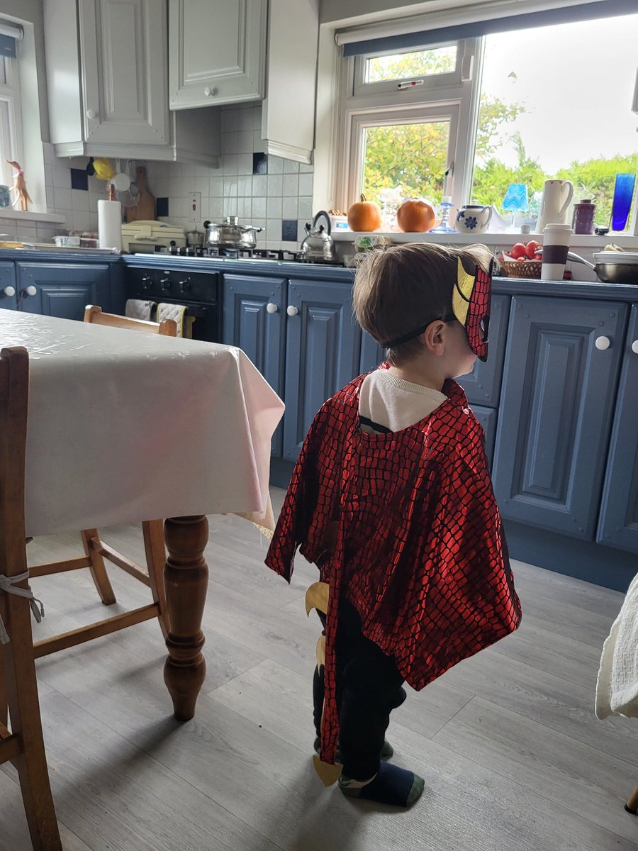 marygtroche's tweet image. Grandson #2 asked me to put his costume on. (Almost 2 and a half yo)
Me: There you are! You're like Batman now.
#2, looking at me with what seems like pity: Gaga! I'm not Batman! I'm Dragon Boy!
#LanguageDevelopment is fascinating to observe