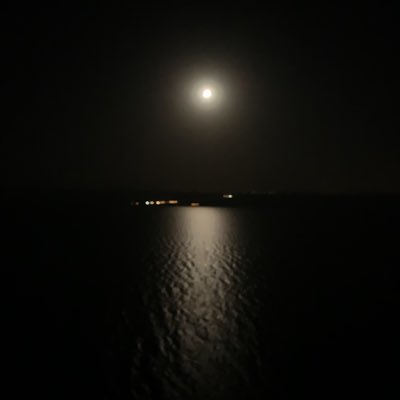 #صورة_جديدة_للملف_الشخصي