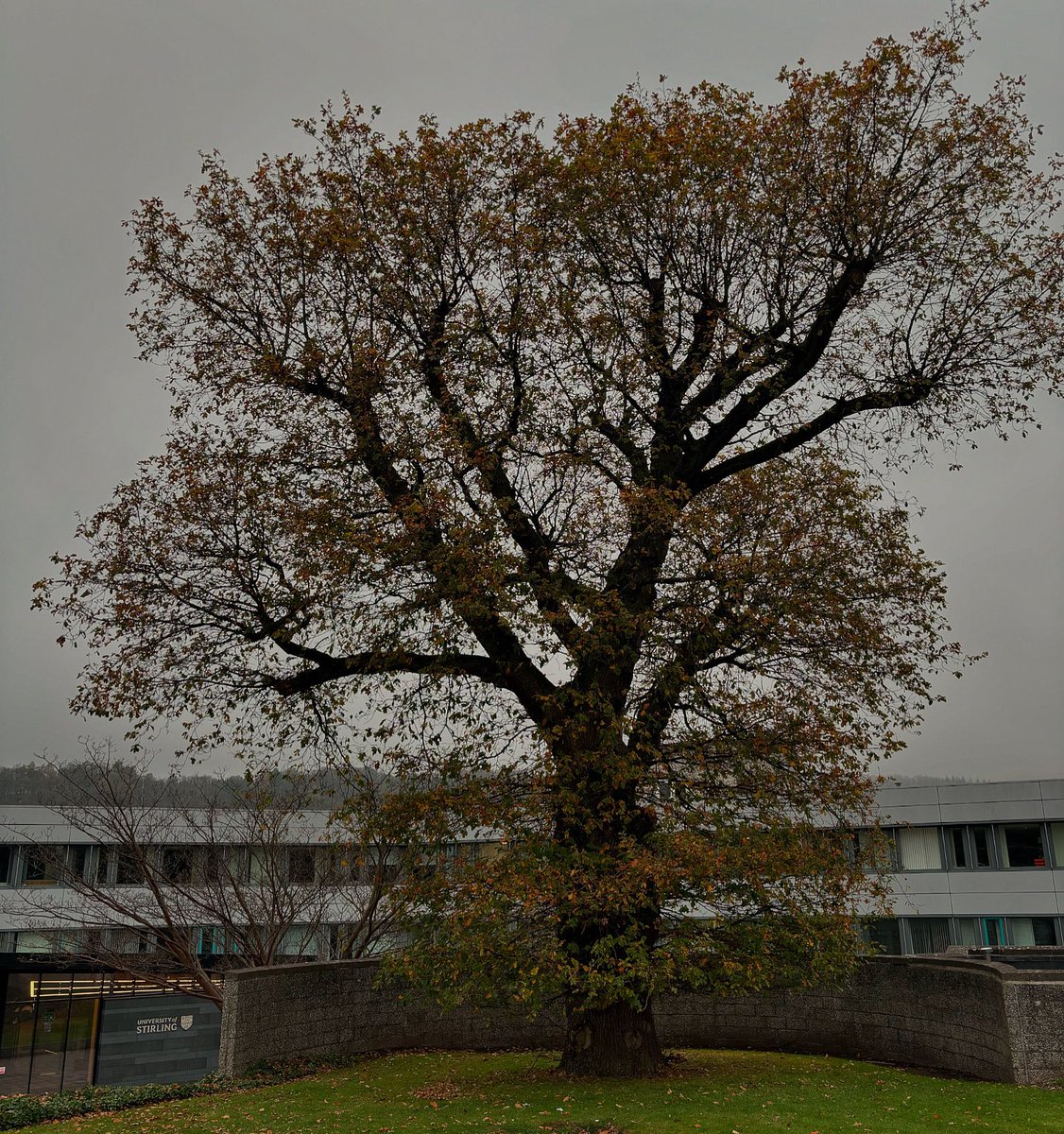 I’m attending a ‘Restoration science at University of Stirling’ meeting today.