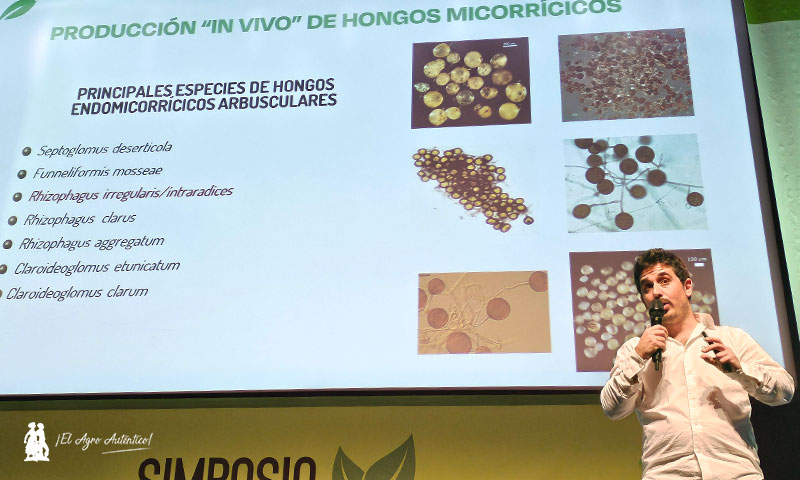 jaarcossanchez's tweet photo. 🆕Bioera y su producción de micorrizas ‘in vivo’
📝https://t.co/iAem3v4MTM
📌Producción, envasado y comercialización de #micorrizas. Bioera trabaja con diferentes especies de hongos endomicorrícicos arbusculares. Una producción in vivo con la que se obtienen esporas más resistentes
#ElEjido #VSimposioAgriculturaEcológica #SimposioAgricultura #agricultura #Almeria #SimposioFyH