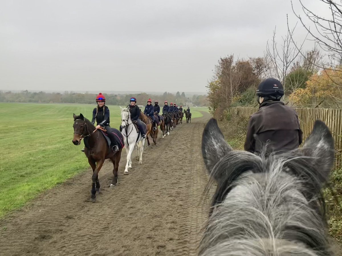 Always good to see the <a href="/BRSNewmarket/">BritishRacingSchool</a> string when they come on the Heath <a href="/NewmarketGallop/">Newmarket Gallops</a>. Very impressed by the standard of riding: a well-disciplined, orderly string with all the riders sitting nicely, quietly &amp; looking well in control.