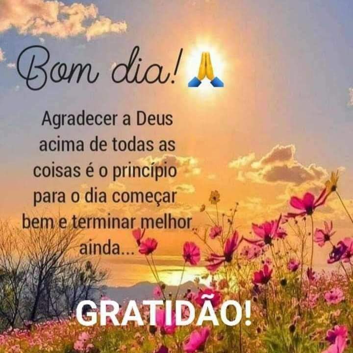 Douglas Carvalho Ribeiro (@gsddouglas) on Twitter photo 