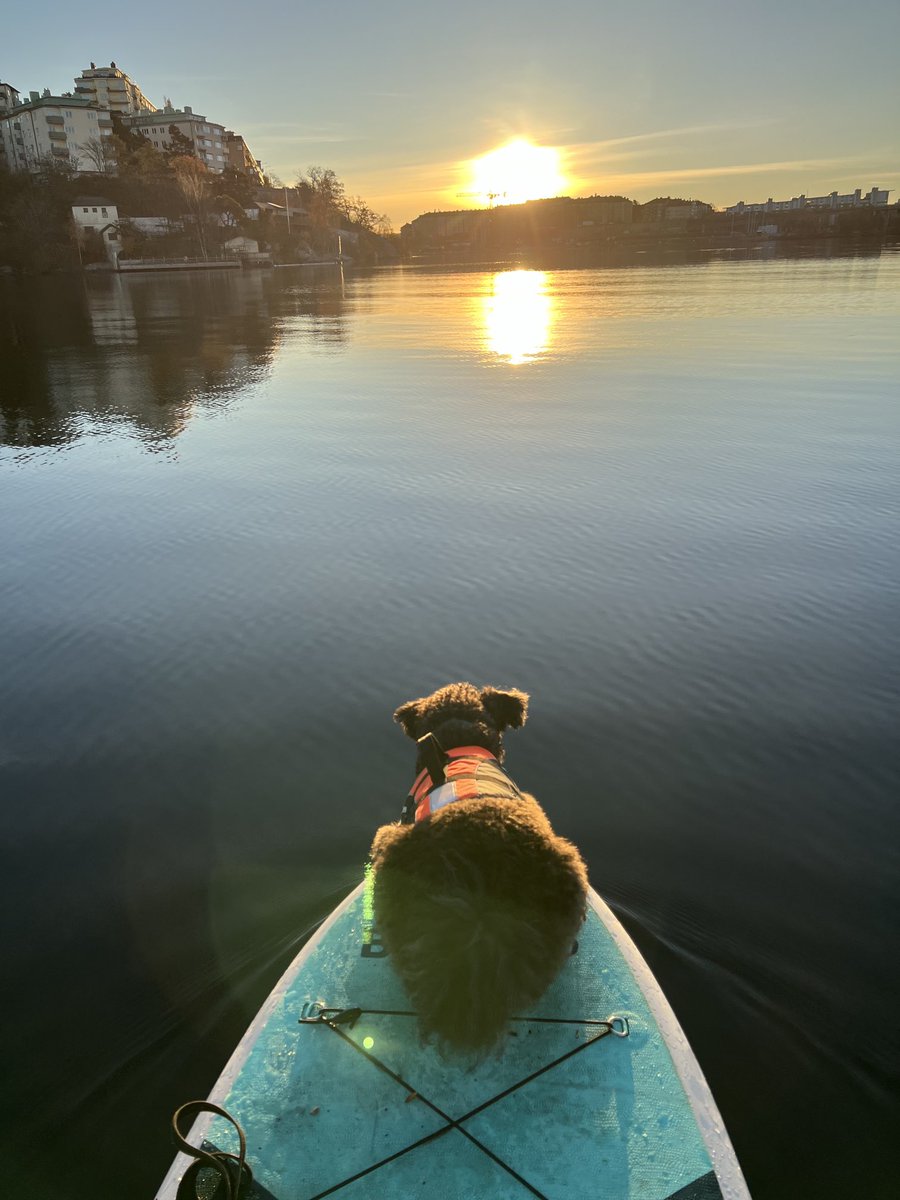 Craig Wheelock tweet media