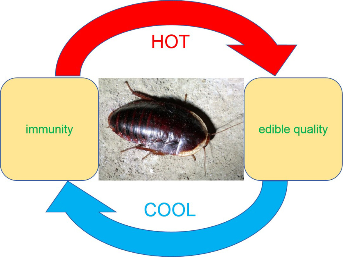 Physiological Entomology (@physiol_ent) on Twitter photo #EarlyView
The trade-off between immunity and product quality of Opisthoplatia orientalis (Blattodea: Blaberidae) under low temperatures
Read this #OriginalArticle⬇️
doi.org/10.1111/phen.1…
<a href="/WileyEcolEvol/">Wiley Ecology & Evolution</a> <a href="/RoyEntSoc/">Royal Entomological Society</a> #EarlyView
The trade-off between immunity and product quality of Opisthoplatia orientalis (Blattodea: Blaberidae) under low temperatures
Read this #OriginalArticle⬇️
doi.org/10.1111/phen.1…
<a href="/WileyEcolEvol/">Wiley Ecology & Evolution</a> <a href="/RoyEntSoc/">Royal Entomological Society</a>