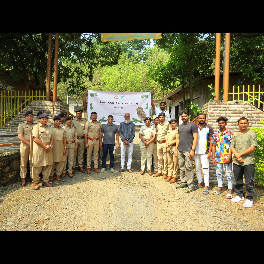 WCSIndia's tweet image. On Oct 24, 2024, Gujarat Forest Dept’s South Dang division &amp;amp; WCS-India marked Forest Owlet Conservation Day with frontline forest staff, bird guides, and watchers. Kaushal Patel, WCS-India led a session on the Forest Owlet’s natural history &amp;amp; its vital role in the Dang landscape.