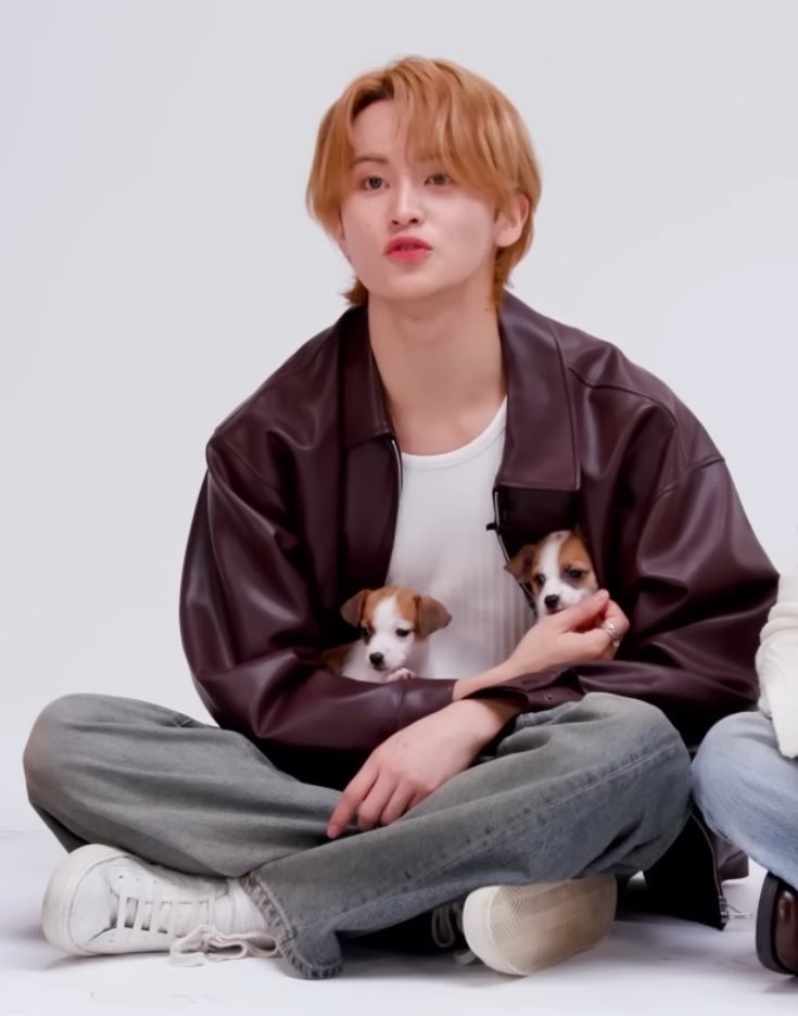 : หมาใครวะเนี่ย หน้าตาโคตรตลก ไอมอมเอ้ย
: ปล่อยหมาหนูเดี๋ยวนี้เลยนะ! มาว่าน้องไม่น่ารักได้ยังไง นิสัยไม่ดี!