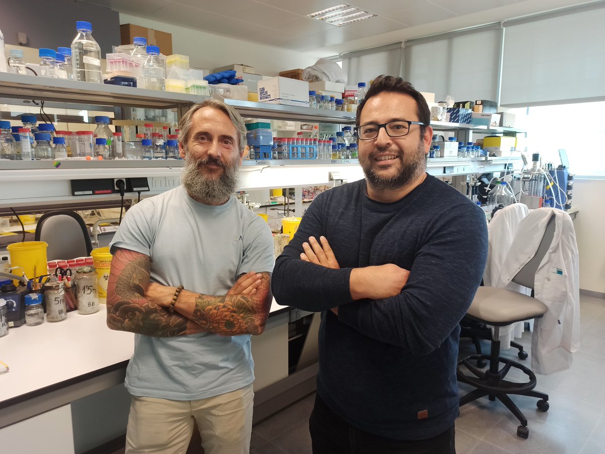 🦠 Cyclo(Pro-Tyr) elicits conserved cellular damage in fungi by targeting the [H+]ATPase Pma1 in plasma membrane domains

📋 Research published at <a href="/CommsBio/">Communications Biology</a> by our scientists 

More information here ⬇️
ihsm.uma-csic.es/comunicacion/1…