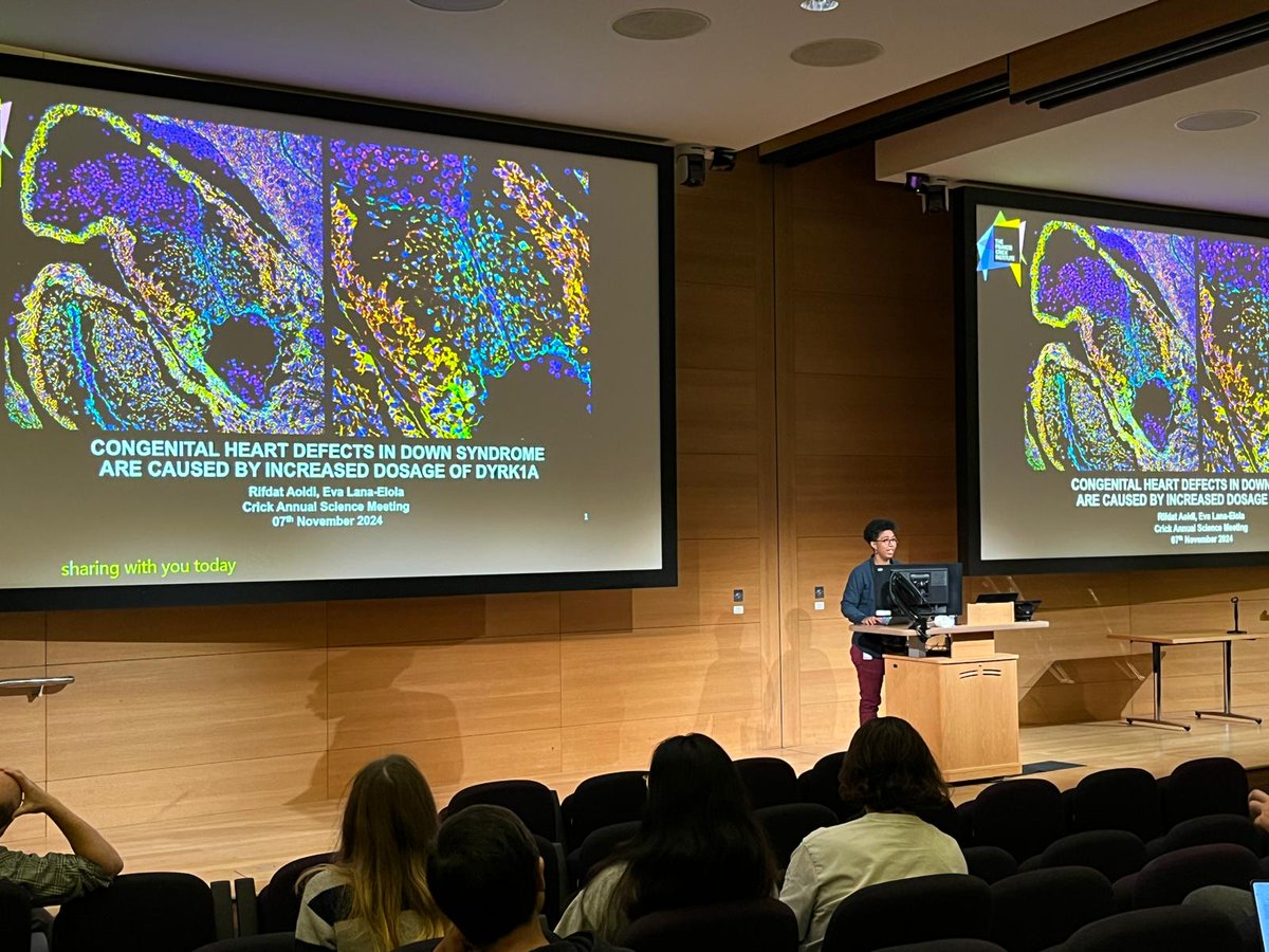 TybulewiczLab's tweet image. Well done to Rif for an excellent presentation at the Crick Annual Science Meeting. Rif presented her work on causative genes of CHD in Down Syndrome, a project shared with Eva Lana-Elola which is now published in Science Translational Medicine! DOI: 10.1126/scitranslmed.add6883