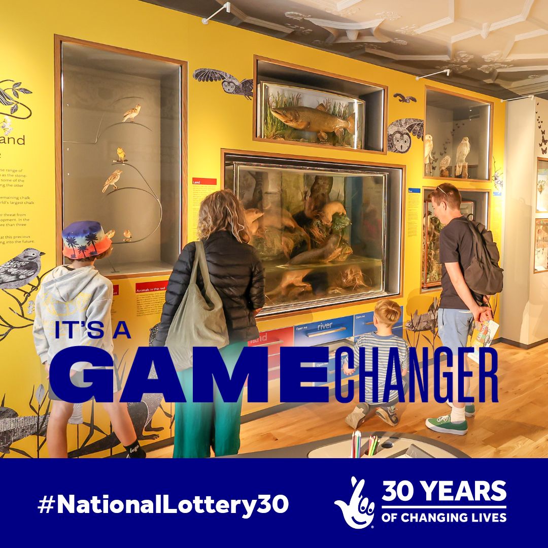 The Salisbury Museum tweet media