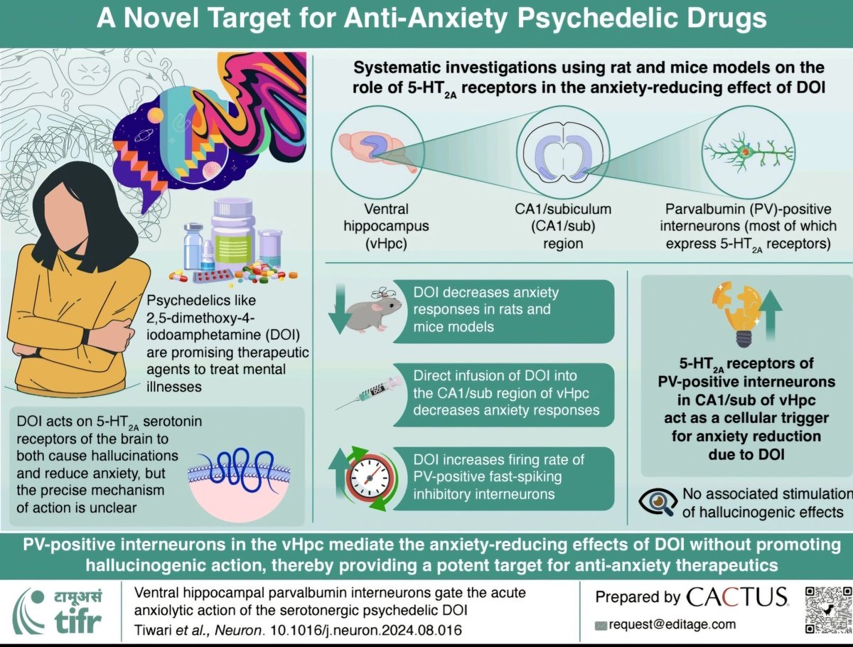 IndiaBioscience.org (@indiabioscience) on Twitter photo Researchers at the <a href="/TIFRScience/">Tata Institute of Fundamental Research</a>, have recently elucidated the neurocircuit mechanism of a serotonergic psychedelic known to reduce #anxiety. 🧠
Their findings pave the way for emerging clinical research & potential therapeutic interventions targeting mental distress caused by Researchers at the <a href="/TIFRScience/">Tata Institute of Fundamental Research</a>, have recently elucidated the neurocircuit mechanism of a serotonergic psychedelic known to reduce #anxiety. 🧠
Their findings pave the way for emerging clinical research & potential therapeutic interventions targeting mental distress caused by