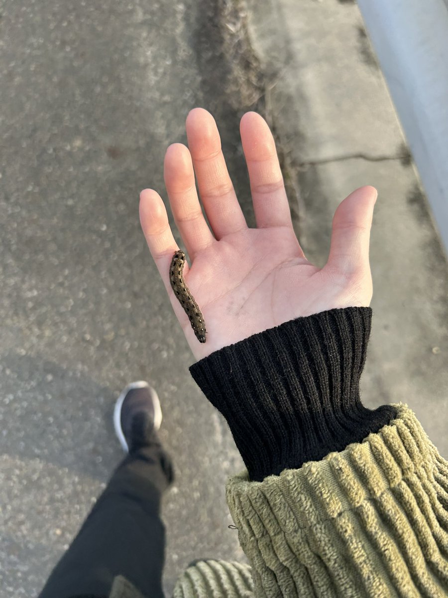 自分の散歩日記 