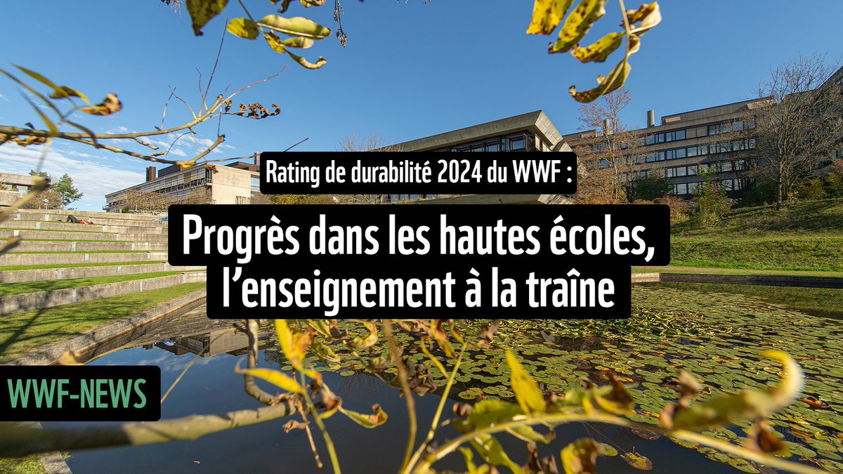 🎓 Le #rating #WWF de la durabilité des #hautes écoles suisses paraît aujourd'hui pour la 4e fois! Il montre que, bien que celles-ci aient fait un grand pas en avant, aucune université n'a encore atteint le qualificatif de «visionnaire». Lien vers l'étude👉wwf.ch/fr/medias/rati…