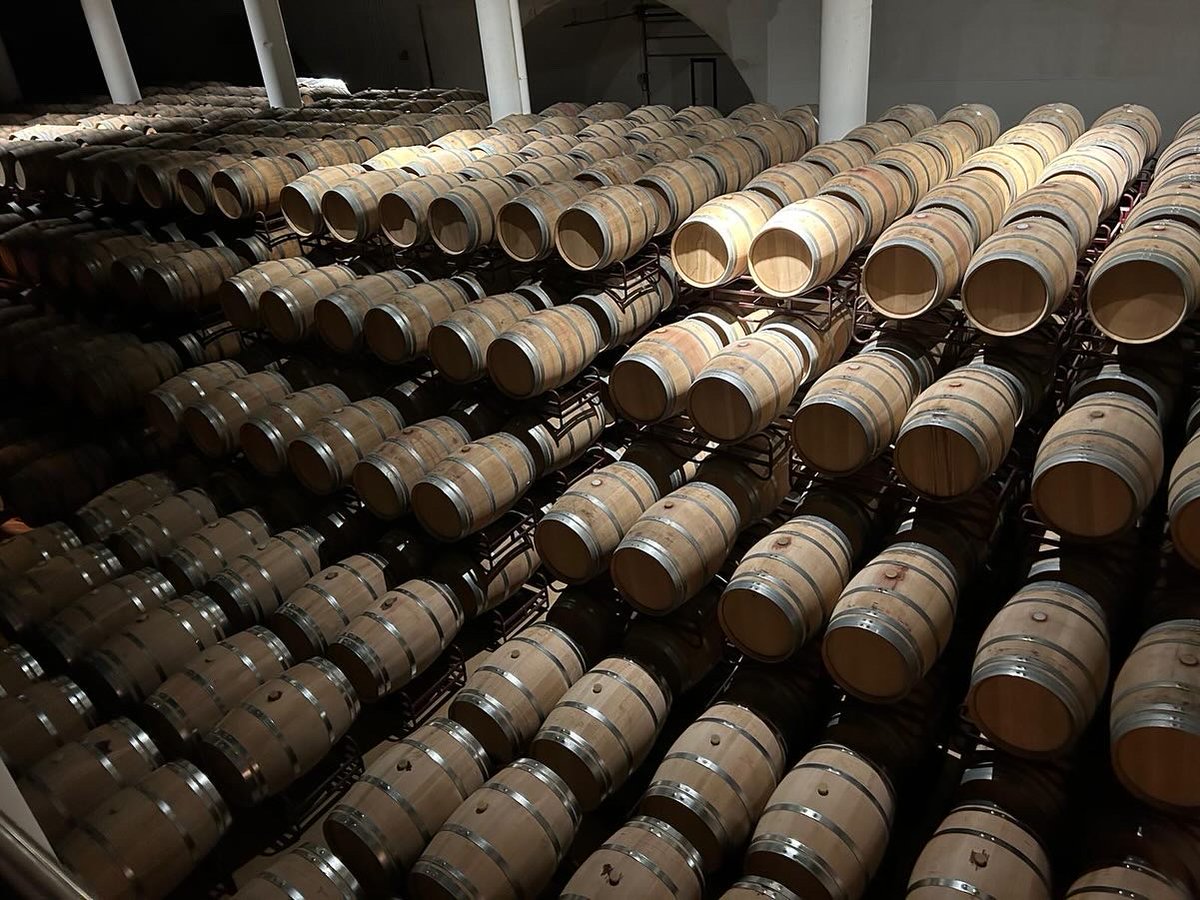 A lovely visit to Rioja Vega and Principe de Viana recently - thank you for having us!