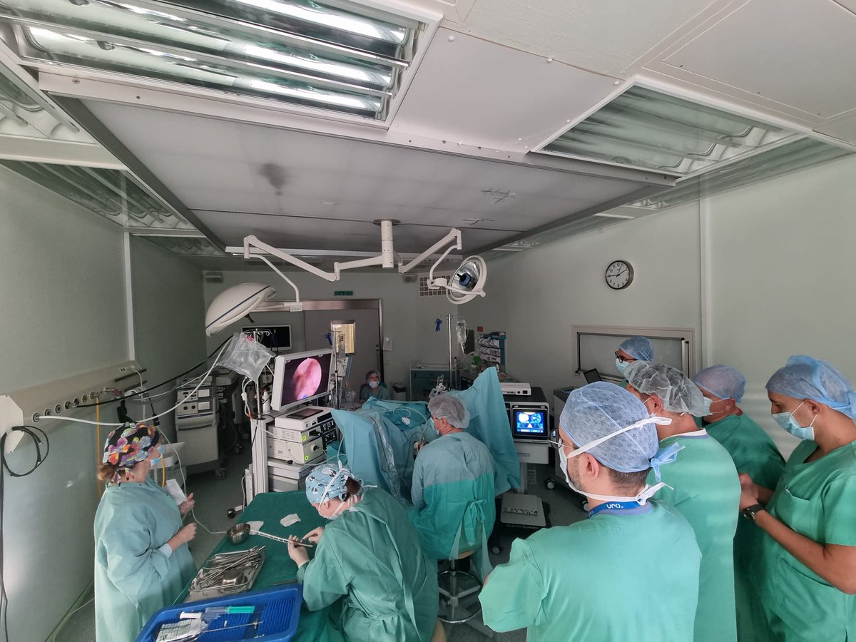 quanta_system's tweet photo. #QuantaSurgicalTrainingLab
👨⚕️Dr. @mzawadzk1
🩺#BPH & #mPCNL performed with #FiberDust
👥Doctors from🇧🇬
#BeQuanta https://t.co/XjcsjAPyjM