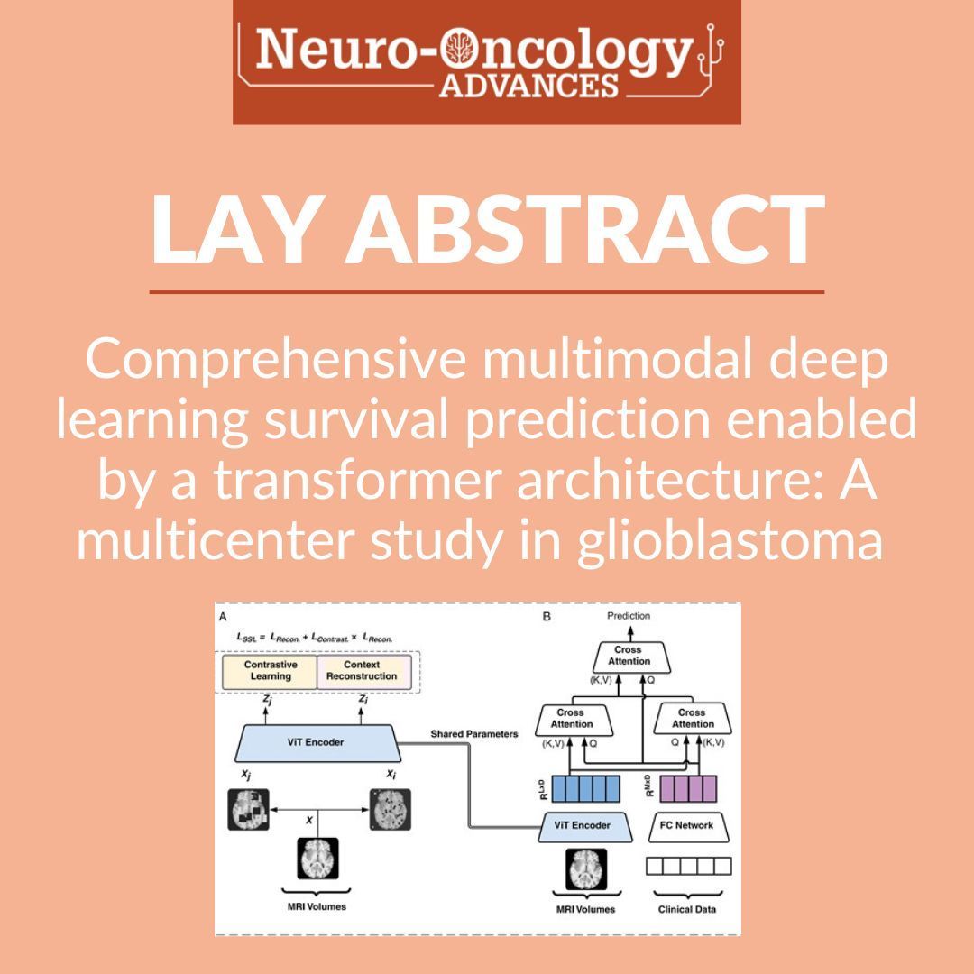 EditorNeuro's tweet image. Can we improve the accuracy of #glioblastoma #survival predictions by combining patient’s age and gender, genetic details of the tumor, and MRI data, using a special #ComputerModel?
Read the #LaySummary or full #article: bit.ly/3AppZMB
@gelarehzadeh @FarshadNassiri