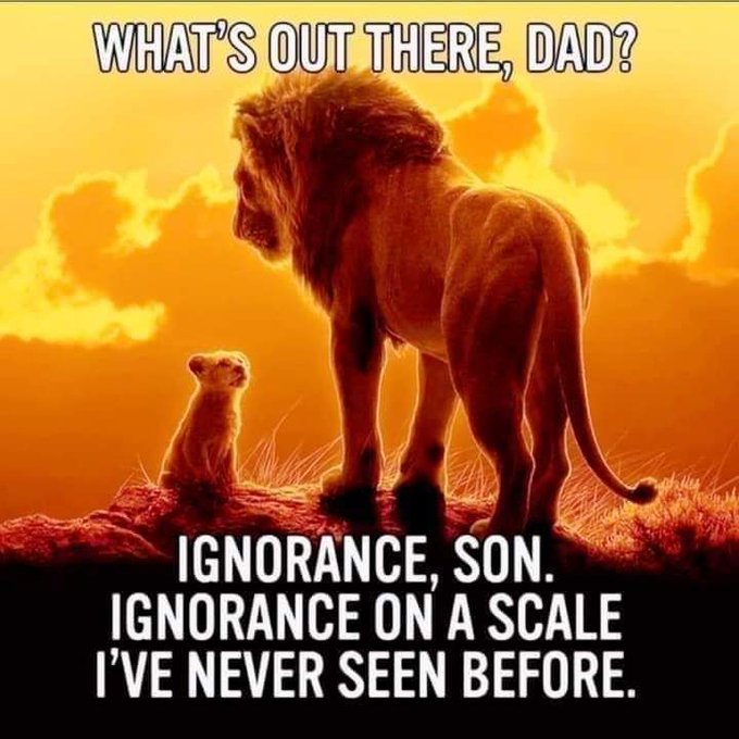 Bab (@bab_102) on Twitter photo #Mourning List!: <a href="/bab_102/">Bab</a> <a href="/2DeCee/">Princess Shuri of Wakanda</a> <a href="/MikeLohr7/">Mike: #FOTUS #SleepyDon</a> @17DISH @mjb0007 <a href="/lindaworkerbee/">Linda #GlovesOff ๐ป๐ ๐ฟ๐๐๐๐บ๐ฆ</a> @ikerot <a href="/srosnato/">Sandy ๐ป๐บ๐ฆ๐ป๐๐๐ง</a> <a href="/SnarkQueenBee/">Snark Queen Bee ๐</a> <a href="/KeithWillWynne/">๐๐ ๐Devin Nunesโ Cowโs Attorney ๐ ๐ ๐</a> <a href="/BlueStormComin1/">๐บ๐ธ๐ฆ
#BlueStormComin1๐ #BlueStormFriends ๐ฆ
</a> @ltwlauren <a href="/hedahunter/">แผแดแชแฉ ๐ ๐ฆ โ๏ธ๐๐ท๐บ๐ฆ๐ถ</a> <a href="/MetaResistance/">Meta Resistance ๐ฆ
</a> <a href="/drios1111/">๐๐ถ๐๐พ๐๐๐๐ถ ๐
๐พ๐๐</a> <a href="/ardribarre/">Barry King</a> <a href="/GroovyChic1960s/">๐บFL Democrat~ resist & rebel โก๏ธ SLE Lupus Warrior</a> @Souli_Birdee <a href="/RhymesRadical/">Radical Rhymes</a> <a href="/RadicalRhy95116/">RadicalRhymes</a> @Gdad1 #Mourning List!: <a href="/bab_102/">Bab</a> <a href="/2DeCee/">Princess Shuri of Wakanda</a> <a href="/MikeLohr7/">Mike: #FOTUS #SleepyDon</a> @17DISH @mjb0007 <a href="/lindaworkerbee/">Linda #GlovesOff ๐ป๐ ๐ฟ๐๐๐๐บ๐ฆ</a> @ikerot <a href="/srosnato/">Sandy ๐ป๐บ๐ฆ๐ป๐๐๐ง</a> <a href="/SnarkQueenBee/">Snark Queen Bee ๐</a> <a href="/KeithWillWynne/">๐๐ ๐Devin Nunesโ Cowโs Attorney ๐ ๐ ๐</a> <a href="/BlueStormComin1/">๐บ๐ธ๐ฆ
#BlueStormComin1๐ #BlueStormFriends ๐ฆ
</a> @ltwlauren <a href="/hedahunter/">แผแดแชแฉ ๐ ๐ฆ โ๏ธ๐๐ท๐บ๐ฆ๐ถ</a> <a href="/MetaResistance/">Meta Resistance ๐ฆ
</a> <a href="/drios1111/">๐๐ถ๐๐พ๐๐๐๐ถ ๐
๐พ๐๐</a> <a href="/ardribarre/">Barry King</a> <a href="/GroovyChic1960s/">๐บFL Democrat~ resist & rebel โก๏ธ SLE Lupus Warrior</a> @Souli_Birdee <a href="/RhymesRadical/">Radical Rhymes</a> <a href="/RadicalRhy95116/">RadicalRhymes</a> @Gdad1