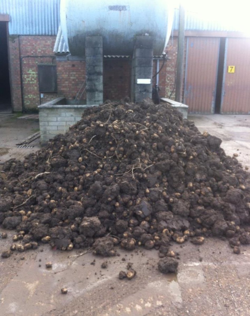 Paul Grant tweet media