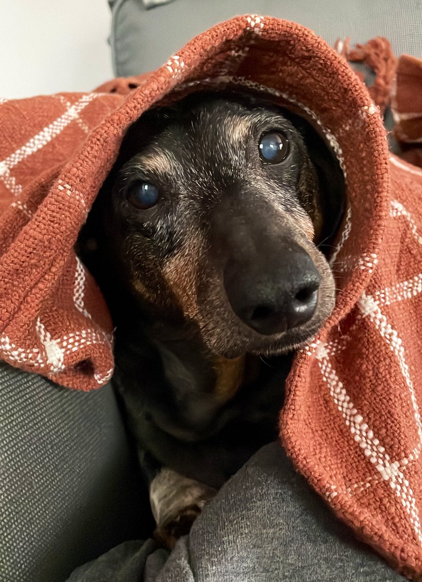 Courtney tweet media