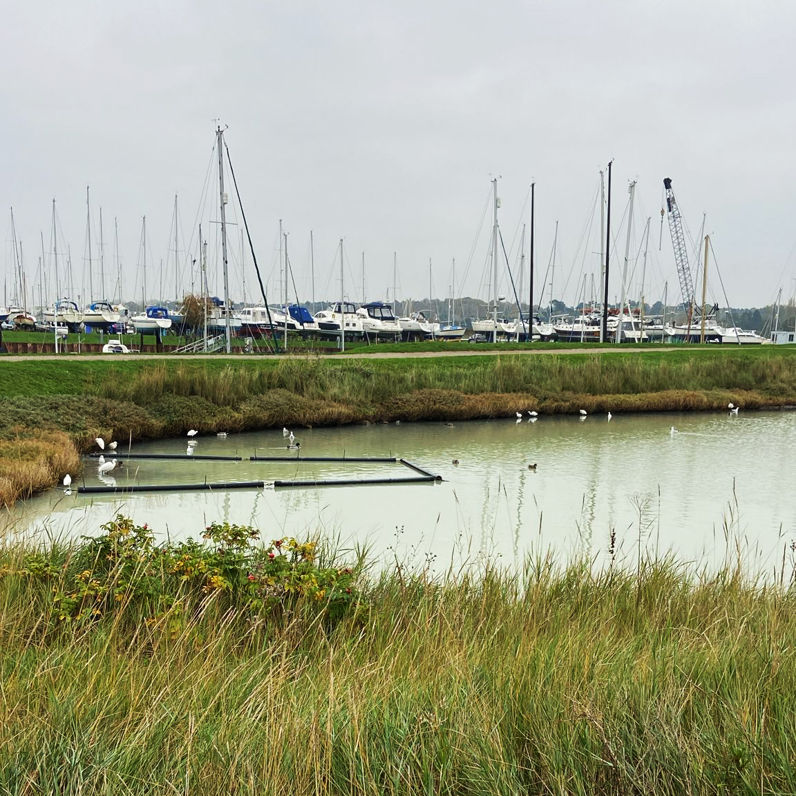 Woodbridge Tide Mill Museum tweet media