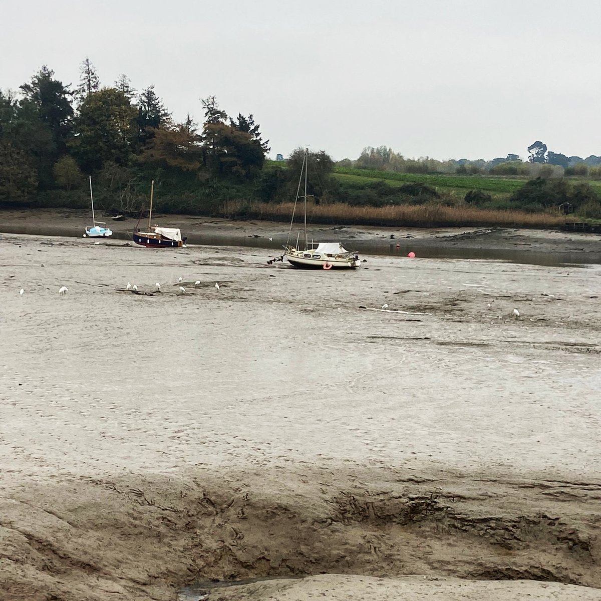 Woodbridge Tide Mill Museum tweet media