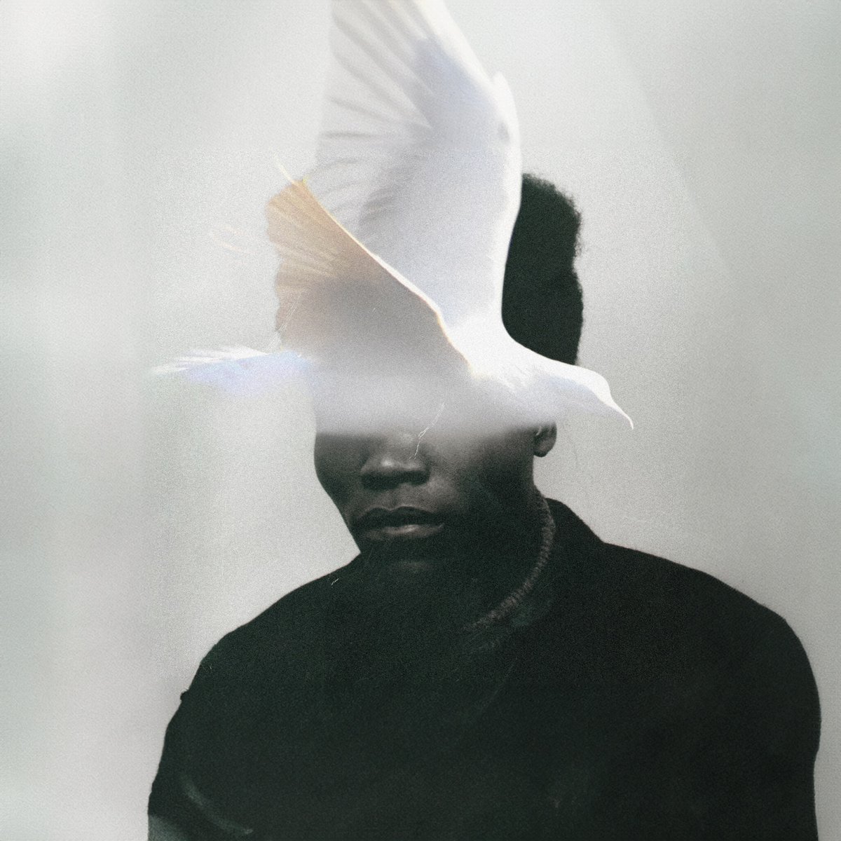 Sir Introvert and the Featherweights. 02.14.2025