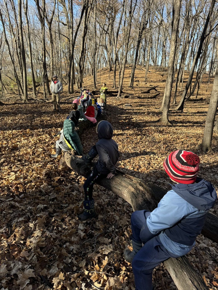 Mara Drill tweet media