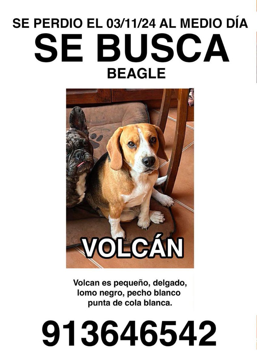 Twitter unido puede encontrar a Volcán. 
Ayudemos a <a href="/osnapitzsebas/">Sebastian Huertas</a> con un RT 
Vamos vamos que hoy será el día que Volcán vuelva a casa 💪🫶