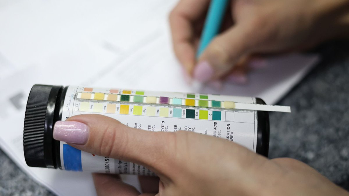 JamesMoriss21's tweet photo. HLTPAT005 Assessment For Drug Testing Skills

HLTPAT005 is an Australian health training unit of competency Collect specimens for drugs of abuse testing.

https://t.co/9qkphj8oUE

#SGhealth #SpecimenCollection #PathologyTraining #HealthcareSkills #ClinicalTesting #PatientCare https://t.co/PKDRIMIpgF