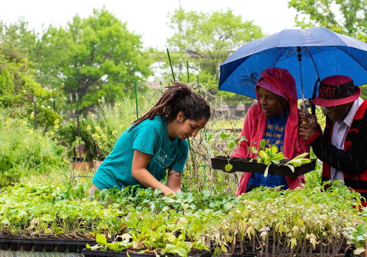 Calling All Community Gardeners 📣 - mailchi.mp/jvtf/we-believ…