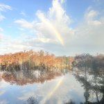 Photo by eliza wern (@RossNC2007)