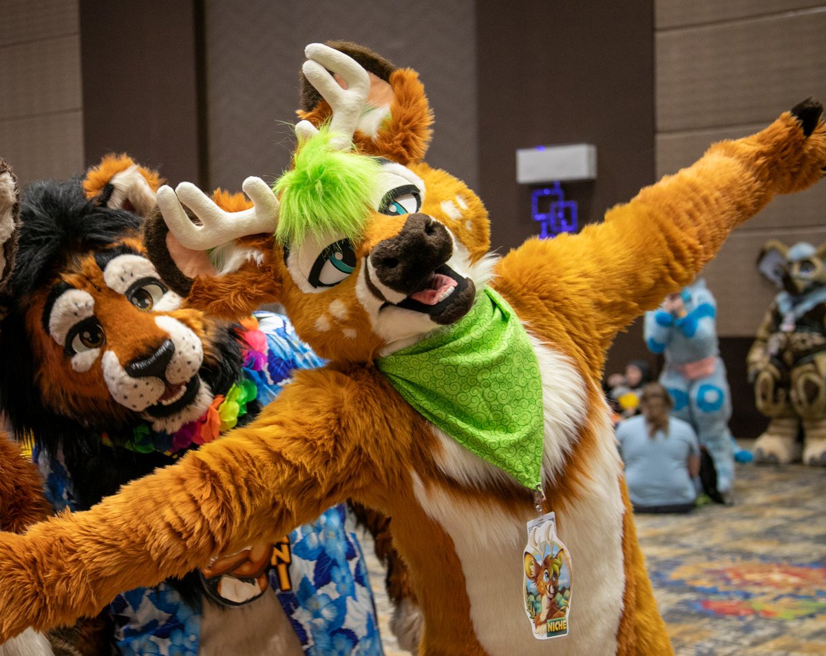 All my photos from #BLFC2024 are up! This first album has photos of me in suit from the Fursuit Festival &amp; around conspace: flickr.com/photos/kijanil…

If we got a Fursuit photo together, it’s here! 

Thank you <a href="/HearzLion/">Hearz</a> for helping capture these memories ❤️
#FursuitFriday