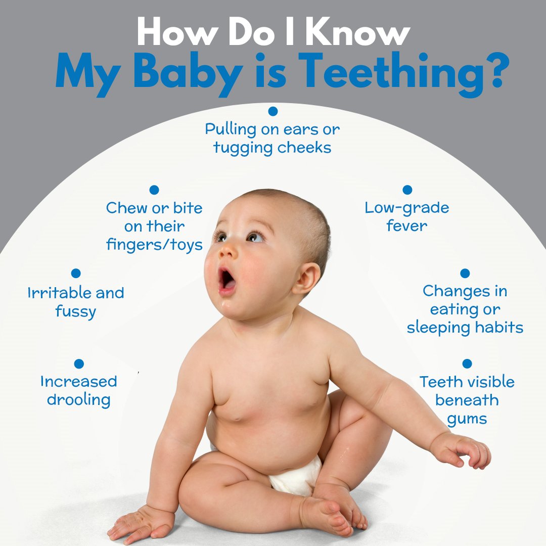 KurtHalumDMD's tweet image. Wondering if your baby is teething? 🦷 Look out for some telltale signs! From extra drool to chewing on everything, those little teeth might be on their way. Check out our list for all the clues! 😊👶 #TeethingTips #BabyMilestones