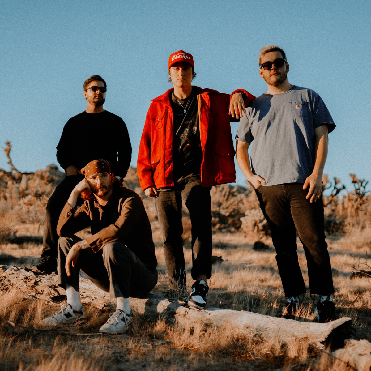 Pure Noise Records tweet media