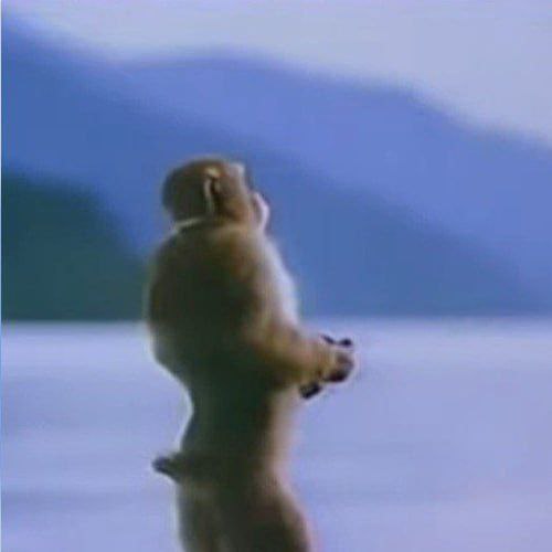 vibeshiftcult's tweet photo. @KookCapitalLLC Please hate me. https://t.co/ss9FeCiDEh