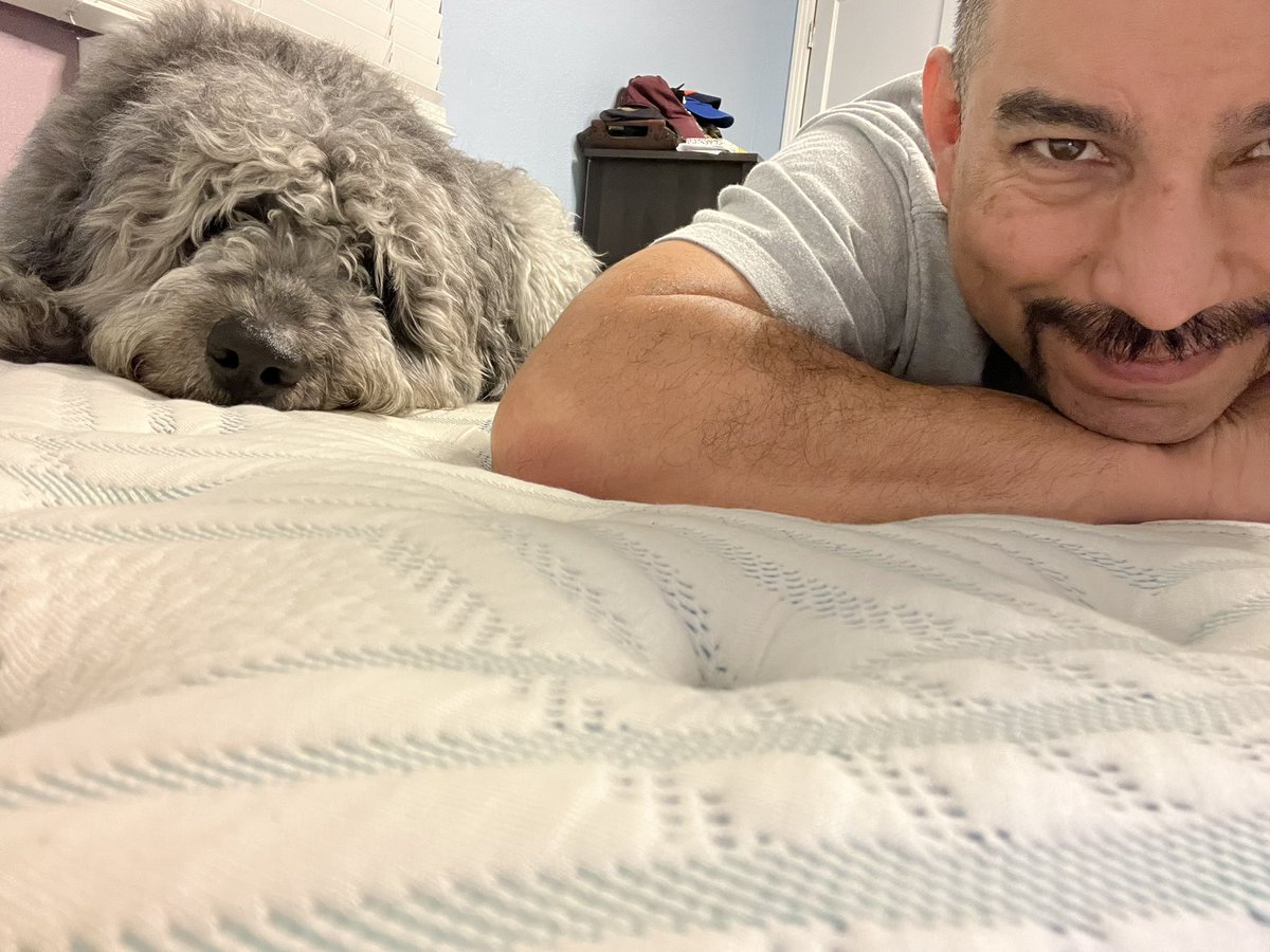 WilfredTheFloof's tweet photo. Laundry day https://t.co/FppkE2bzSz