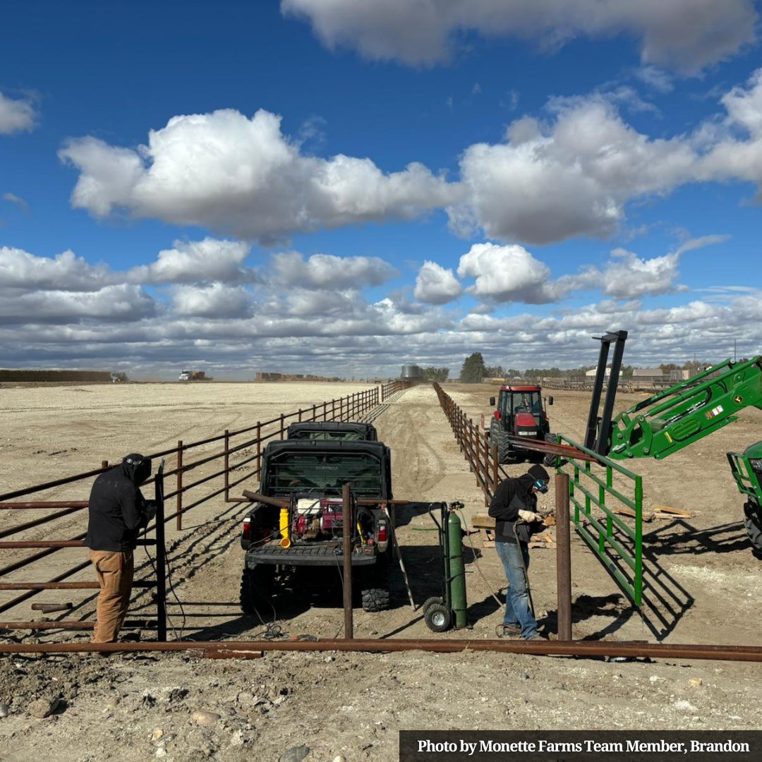 farms_monette's tweet photo. Now that the cattle are sorted and the grain is in the bin, there are lots of odd jobs on the farms and ranches to get done before winter. The only way we get it all done is by working as a team!
#TamWork #AgTeam #FarmLife #RanchLife https://t.co/0B6QauacMl