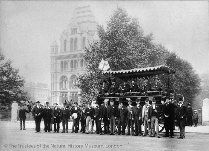 NHM Library and Archives (@nhm_library) on Twitter photo Moustachioed <a href="/NHM_London/">Natural History Museum</a> Works staff setting off on an outing in a horse bus (charabanc) from Exhibition Road (c.1900) #Movember2024 Moustachioed <a href="/NHM_London/">Natural History Museum</a> Works staff setting off on an outing in a horse bus (charabanc) from Exhibition Road (c.1900) #Movember2024