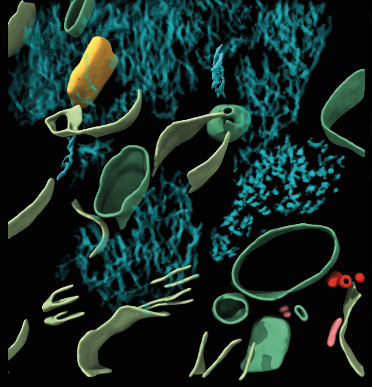 The Astbury Centre (@astburycentre) on Twitter photo Do you work in the life sciences sector & are interested in "Taking drug discovery towards cells and tissue – How can this drive translation?" Join <a href="/AstburyCentre/">The Astbury Centre</a> for a 1-day meeting on 4th Apr 25 at the Royal Society for a day of talks, networking, & more …buryopeninnovation2025.eventbrite.com Do you work in the life sciences sector & are interested in "Taking drug discovery towards cells and tissue – How can this drive translation?" Join <a href="/AstburyCentre/">The Astbury Centre</a> for a 1-day meeting on 4th Apr 25 at the Royal Society for a day of talks, networking, & more …buryopeninnovation2025.eventbrite.com