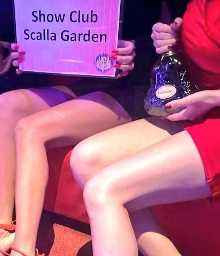 ScallaGarden's tweet photo. @SHd97YUe4w97136 小池さん🌙😃❗
こちらこそ仲良くして下さいね!
🇧🇷🇵🇪🇯🇵🇮🇹🇪🇸ありがとうございます💕
#Internationalclub #tequila
#飲み放題 #横浜 #Brazil #JAPAN
#サンパウロ #リオデジャネイロ https://t.co/herDDt8PL0