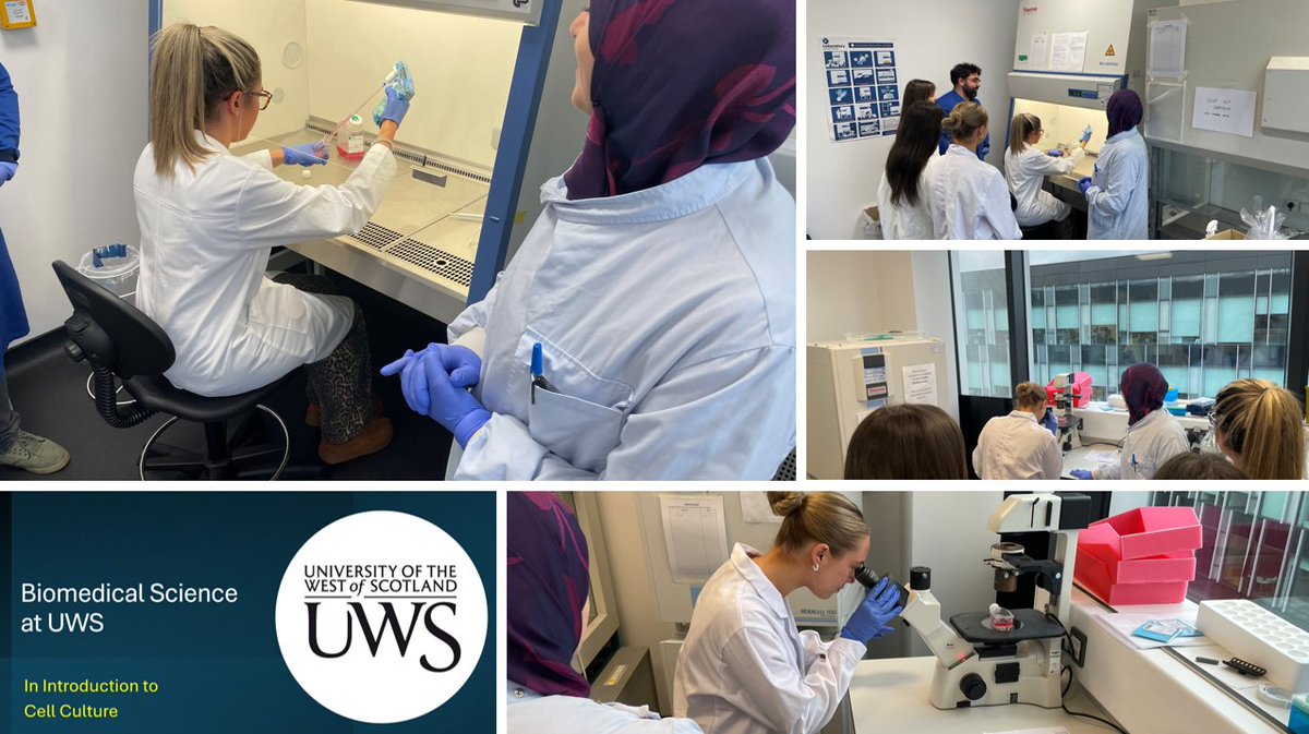 Biomedical Science @UWS tweet media