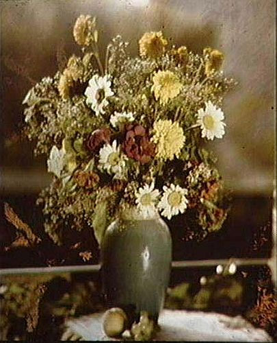 RealPreCinema's tweet photo. Lippmann exploited a concept known as wave interference, which involves the transmission of light waves.

He had presented his process in 1906, along with colour photographs of a mountain and vases of flowers. https://t.co/IYodaAhcaN