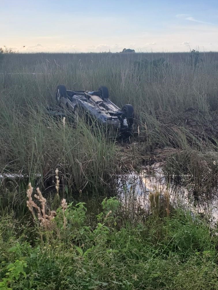 Florida Forest Service tweet media