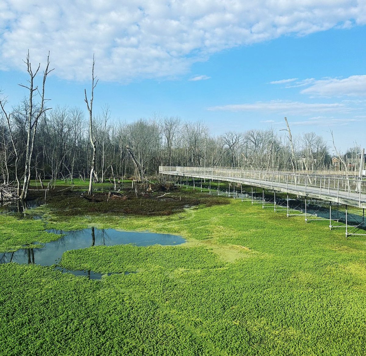 Murfreesboro Parks &amp; Rec just hosted the TRPA Conference. It was an awesome opportunity to showcase our city and we also won 2 statewide awards - Excellence in Athletic Programming and The Boardwalk Renovation project. It’s been an incredible week!
#trpa
