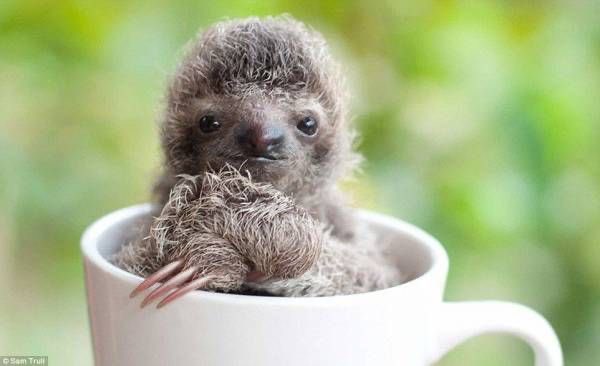 jun|米国株×AI🦥 tweet media