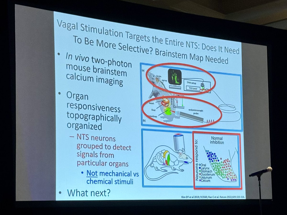 Peter L. Lu, MD, MS (@pllu) on Twitter photo Fascinating talk by <a href="/karagm2009/">kara gross margolis</a> on vagal signaling in #DGBI and the potential of neurostim⚡️ and neuromodulation in treatment - esp if we are able to be more selective in delivery.
Collaboration between clinicians 🤝 basic science researchers needed.
#NASPGHAN2024 Fascinating talk by <a href="/karagm2009/">kara gross margolis</a> on vagal signaling in #DGBI and the potential of neurostim⚡️ and neuromodulation in treatment - esp if we are able to be more selective in delivery.
Collaboration between clinicians 🤝 basic science researchers needed.
#NASPGHAN2024
