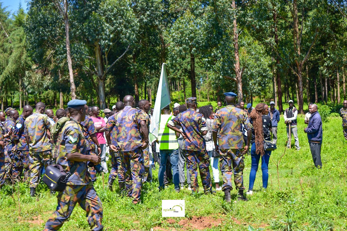 JohnMaiguaj04's tweet photo. Let Support the course.
Some of our success activities from 2021.
#ClimateActionNow 
#environment 
@BelgiuminKenya @UNEP @UNDPClimate @CLIMATEINCLUS @GGI_Kenya @HonAdenDuale @NemaKenya https://t.co/wF2Ybr40St